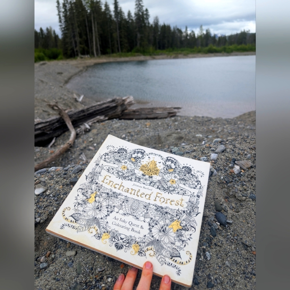Used Enchanted Forest Adult Coloring Book Riddle And Scavenger Hunt